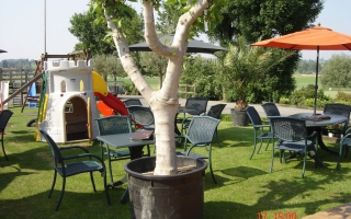 Zonneterras